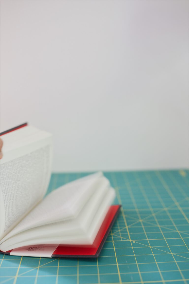 Afbeelding voor Dewey, Piaget, and Frosted Mini Wheats